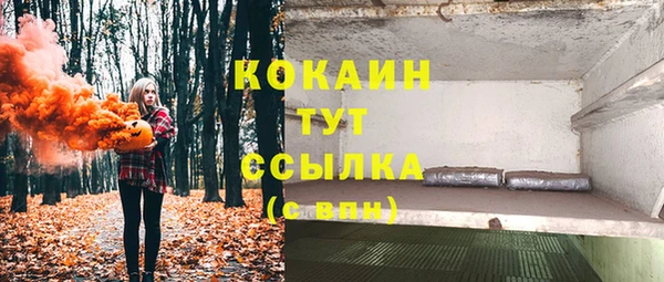 PSILOCYBIN Алзамай