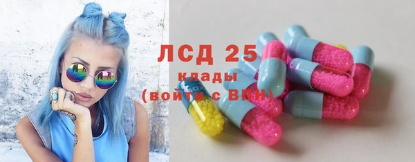 PSILOCYBIN Алзамай
