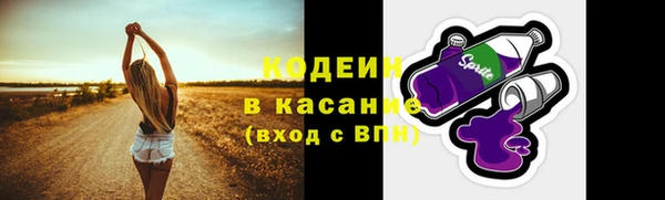 PSILOCYBIN Алзамай