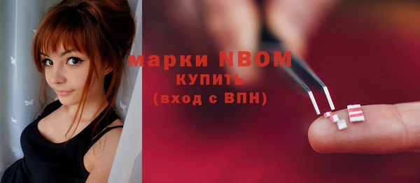 PSILOCYBIN Алзамай
