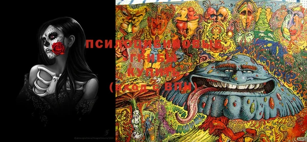 PSILOCYBIN Алзамай